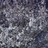 Фото профиля sasa
