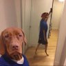 Profilbild von trae