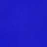 BlueDot profil fotoğrafı