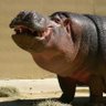 Omwavu Takwana's profile picture