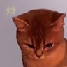 L profil fotoğrafı