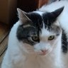 Profilbild von 眠眠/双極性