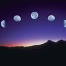 Profilbild von y_lune_0926
