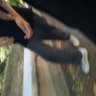mıchdoch's profile picture