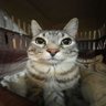 Profilbild von Cristian Agudelo