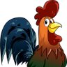 Profilbild von Just a Rooster Illusion