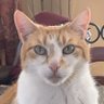 Profilbild von Oliver