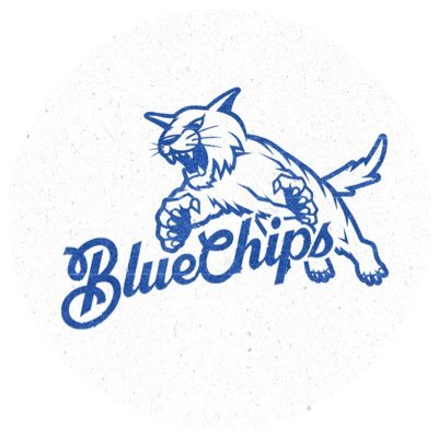 Blue Chips Media's profile picture