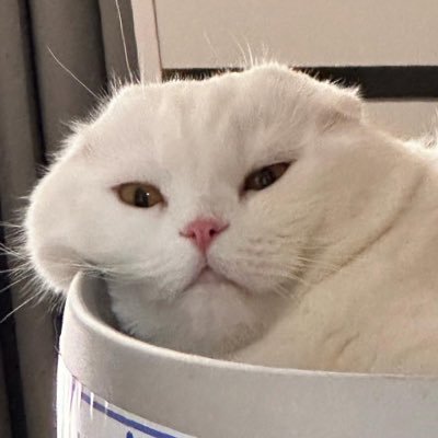 ปะเนว ตะฝุ่น และเอริจัง's profile picture
