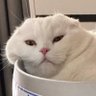 ปะเนว ตะฝุ่น และเอริจัง's profile picture
