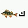 عراقي... عربي...'s profile picture