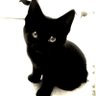 Фото профиля kuro@itengineer