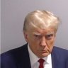 Фото профиля Trumpalhada