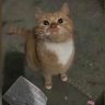 xuzhou2018 profil fotoğrafı