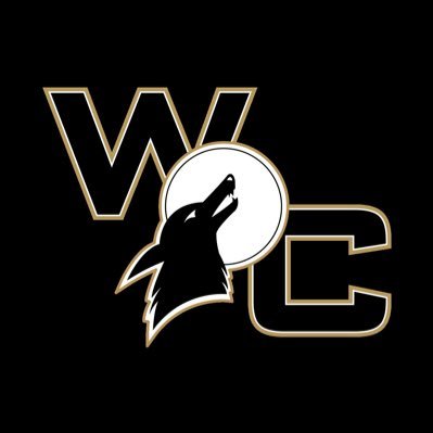 wcballanalytics's profile picture