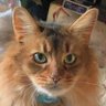 Nana's profile picture