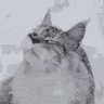 Фото профиля EARTH_cat MEOW~~