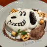 ぴょんた's profile picture