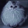 Profilbild von Glubo