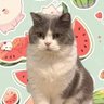 Profilbild von Claire0311