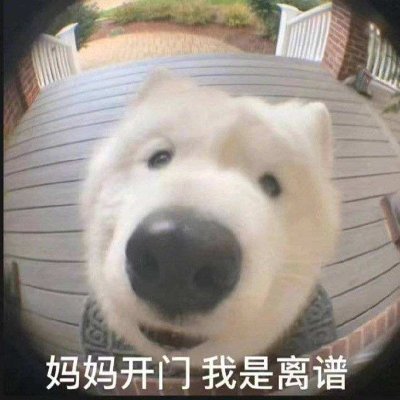 WX马克~无锡洗浴推荐's profile picture
