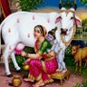 Фото профиля ramesh yarlagadda