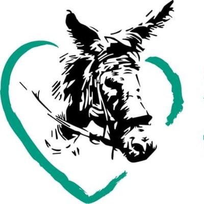 Safe Haven for Donkeys's profile picture