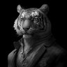 Фото профиля tigerone