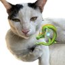 18ฝ่าแมวพิชิตมังกร🐉💥✋🐈's profile picture