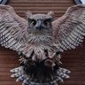 人権が大事 profil fotoğrafı