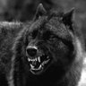 Lee BlackWolf profil fotoğrafı