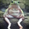 sam profil fotoğrafı