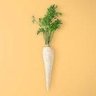 Фото профиля Milton Parsnip, #PR 🎸 🇺🇦 🇵🇸 🇪🇺 #FBPE #GTTO