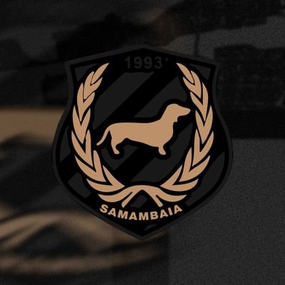 Samambaia FC's profile picture