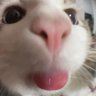 L profil fotoğrafı