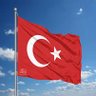 umut's profile picture