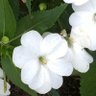 Фото профиля MARIA TERESA LUNA