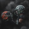 Profilbild von RaiderFan☠️