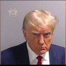 Sandi/Trump 2024 的头像