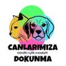 Aylin Gulntekin profil fotoğrafı