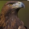 Jorgito Soto. profil fotoğrafı