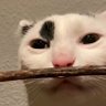 Profilbild von fran