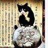 🐈⬛ 的头像