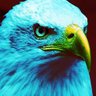Susan Reborn 🇦🇷MAGA🇦🇷🦅 profil fotoğrafı