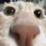 Profilbild von Happi