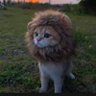 マーボーヽ(・∀・) profil fotoğrafı
