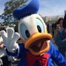 ちびドナ profil fotoğrafı