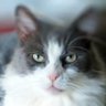Wenderoo profil fotoฤrafฤฑ