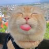 Profilbild von ra.munchkin 🍉🍉