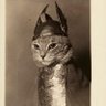 brunhilde profil fotoğrafı